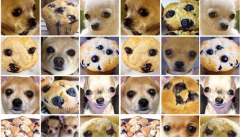 AI exam: Dog face or muffin